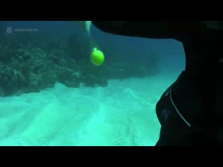 what happens if you crack an egg underwater
